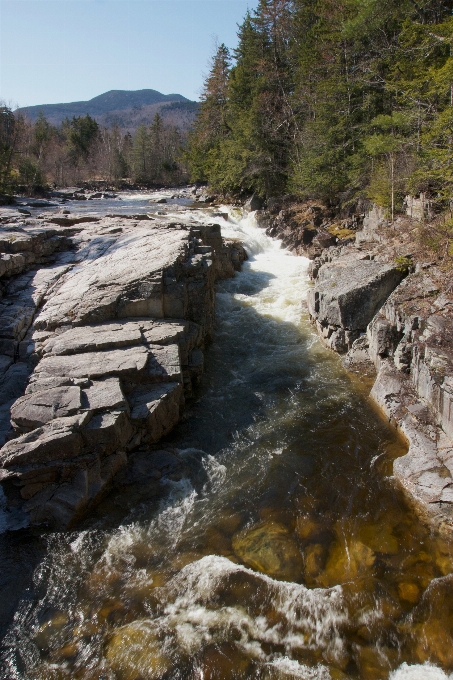 Paesaggio acqua natura rock