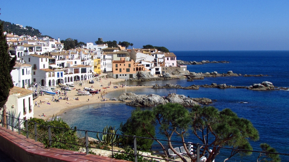 Beach sea coast nature