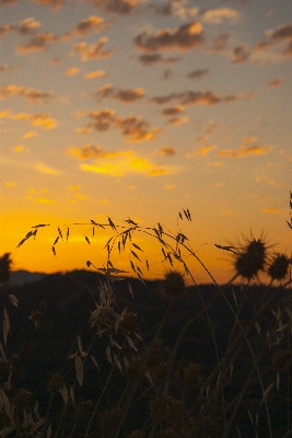 Landscape nature grass horizon Photo