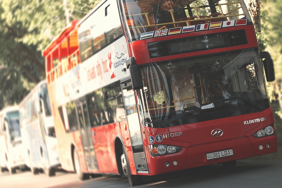 Auto ciudad viajar transporte