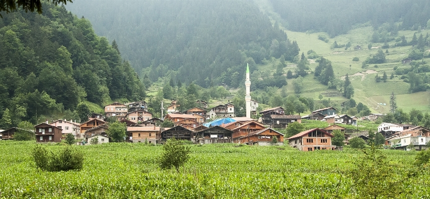 Landscape mountain meadow hill Photo