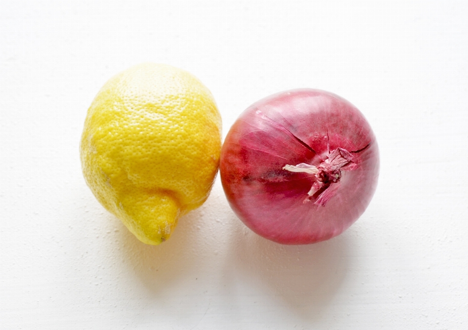 Planta fruta flor alimento