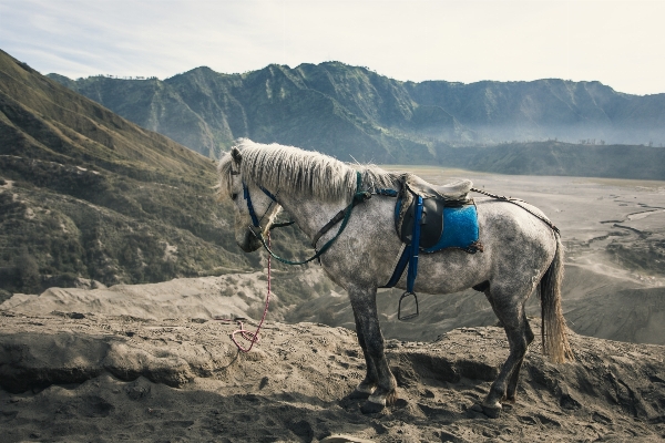 Foto Lanskap alam gunung langit