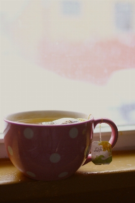 Warm tea morning window Photo