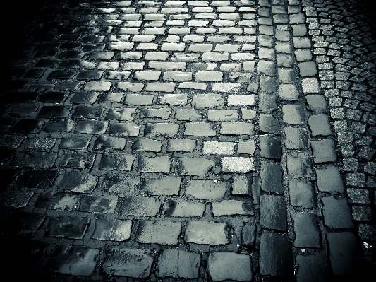 Foto Leggero bianco e nero
 strada terra