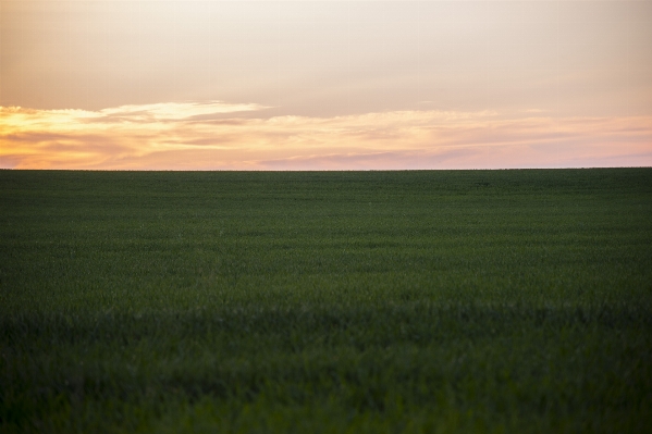 Landscape nature grass horizon Photo