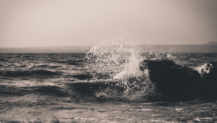 Beach sea coast water Photo