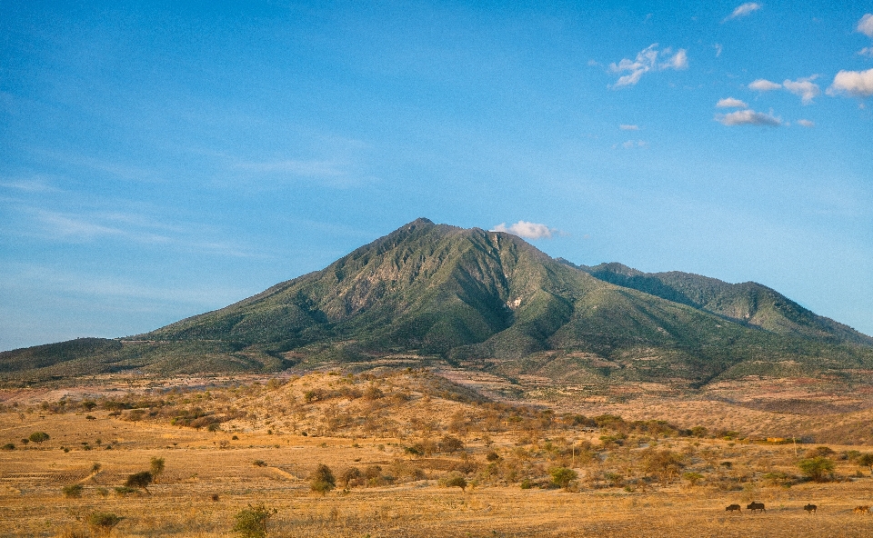 Paisaje naturaleza arena horizonte