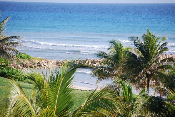 Beach sea coast sand Photo