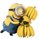 Minion