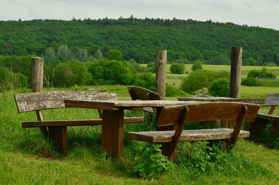 Table landscape nature grass