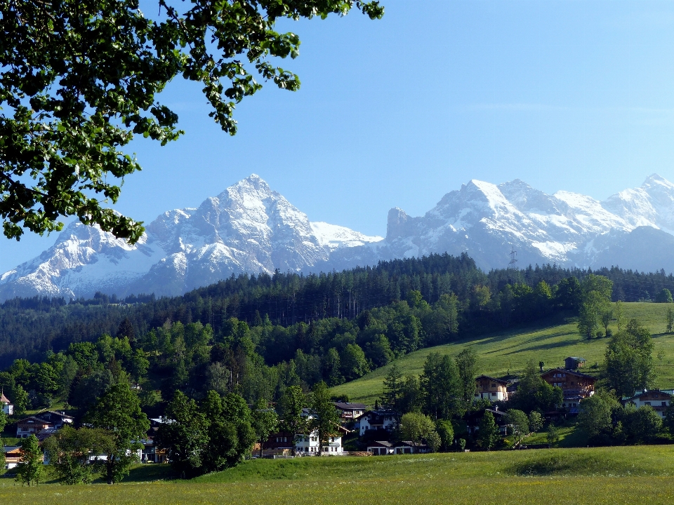 Paisagem árvore natureza montanha