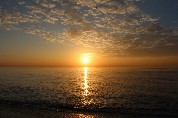 Beach landscape sea coast Photo