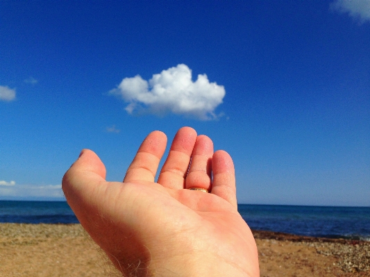 Hand beach sea coast Photo