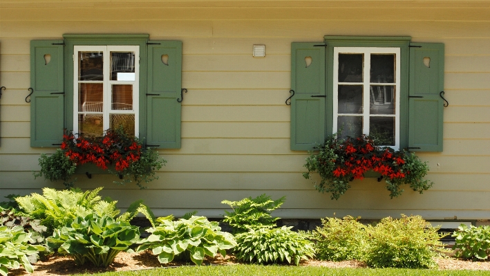 Architecture lawn house flower Photo