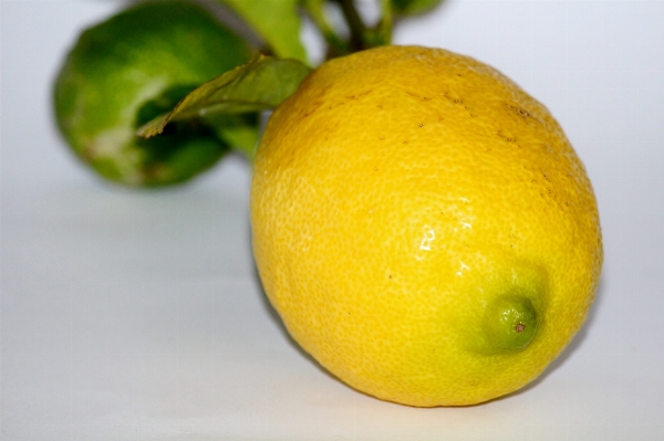 Anlage frucht essen produzieren Foto