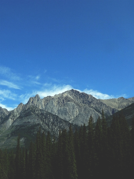 Landscape nature forest wilderness