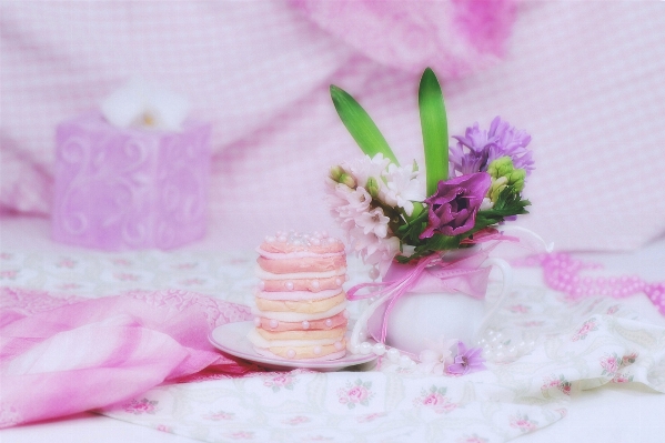 Sweet flower purple petal Photo