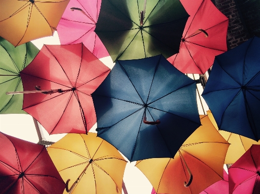 Sky wheel rain flower Photo