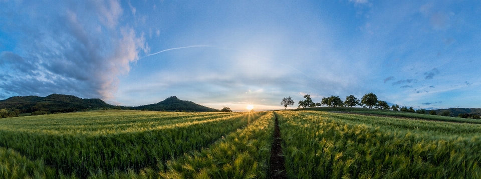 Landscape nature grass horizon