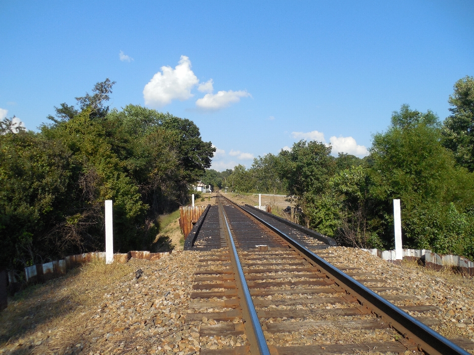 Landscape wood track railway