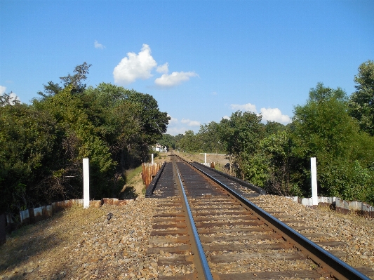 Landscape wood track railway Photo