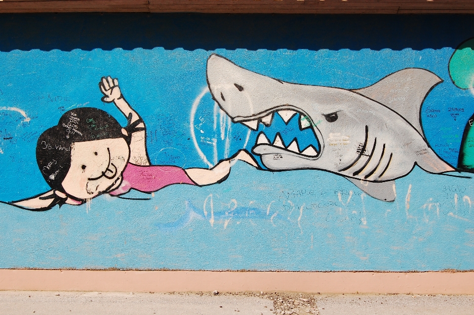 Italy fish graffiti shark