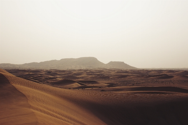 風景 自然 砂 地平線 写真