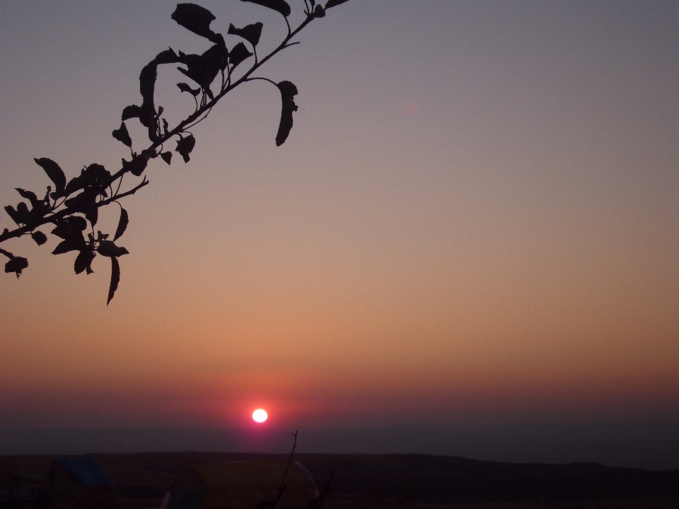 Orizzonte silhouette cielo sole