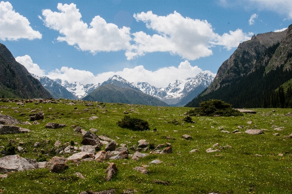 Landscape nature grass wilderness Photo