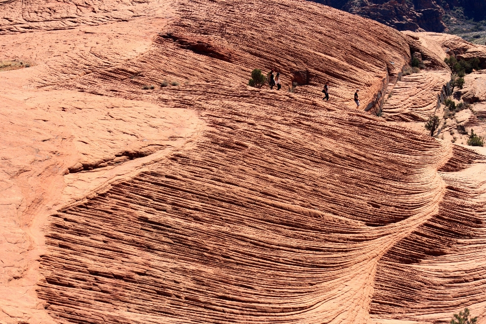 景观 自然 沙 rock