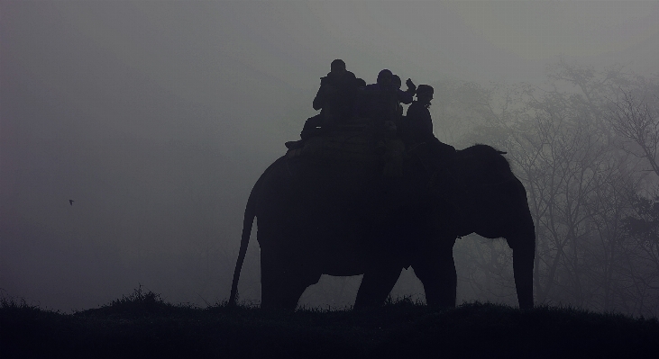 Foto Alam bayangan hitam gunung dan putih
