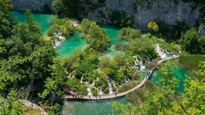 Landscape water nature forest Photo