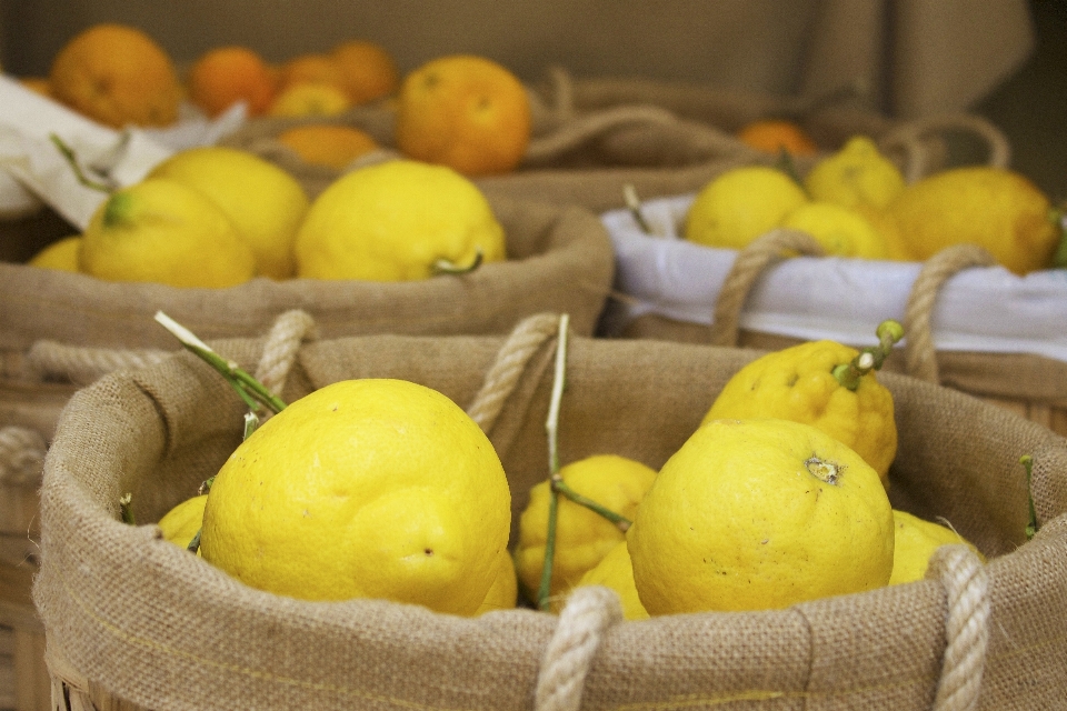 Planta fruta naranja alimento