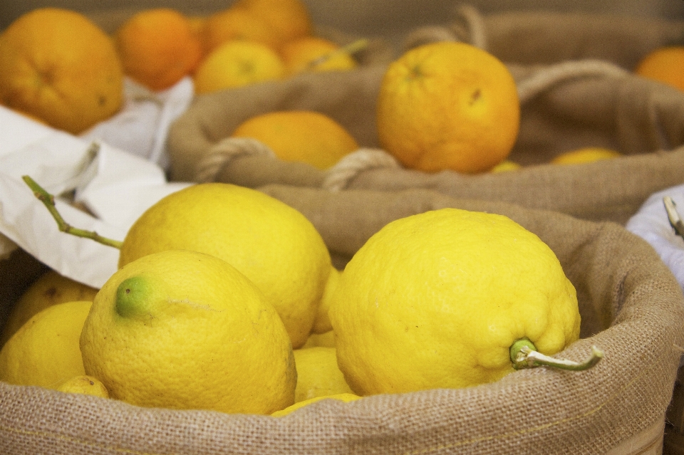 Planta fruta naranja alimento