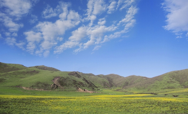 Landschaft natur gras horizont Foto