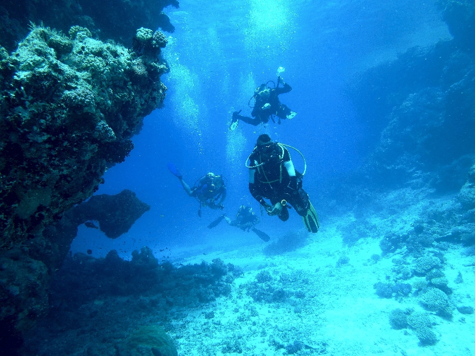 Laut rekreasi menyelam bawah air