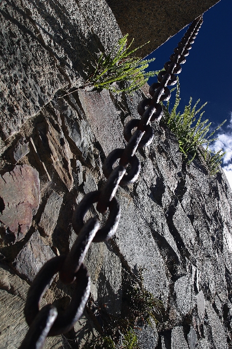 Tree rock mountain architecture