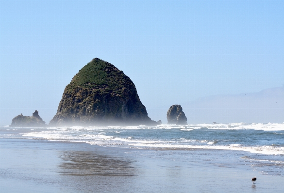 Beach sea coast water Photo