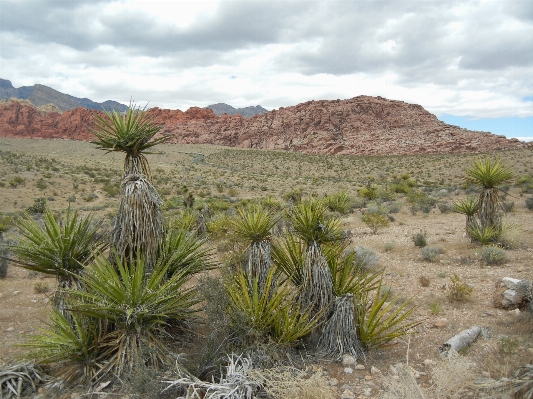 Landscape nature outdoor rock Photo