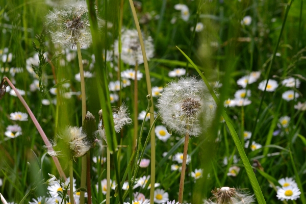 Landscape water nature grass Photo