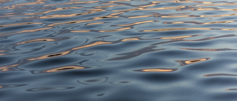 Mare acqua natura sabbia