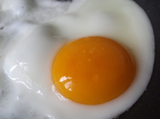 Morning dish meal food Photo