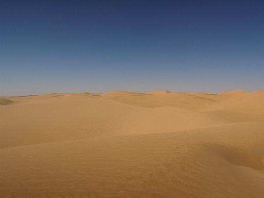 Landscape sand desert dune Photo