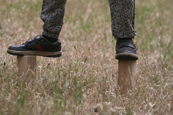 Foto Alam rumput sedang berjalan sepatu