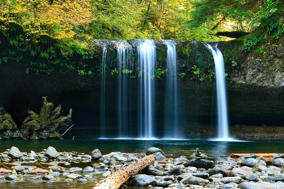 Landschaft baum wasser natur