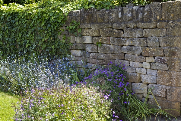 Grass lawn flower wall Photo