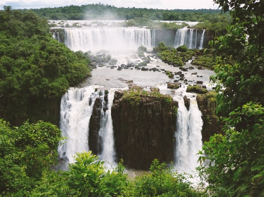 Water nature forest waterfall Photo