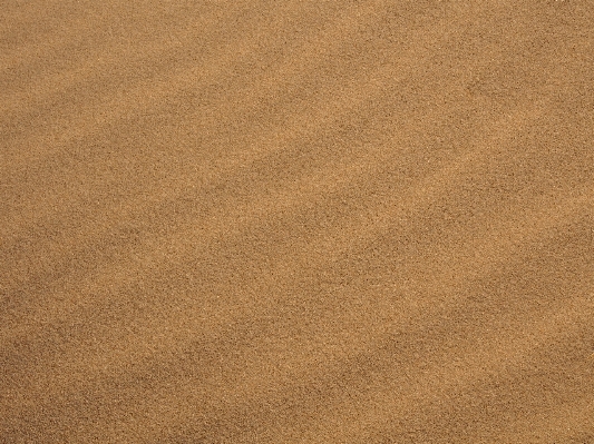 Beach sand wood texture Photo