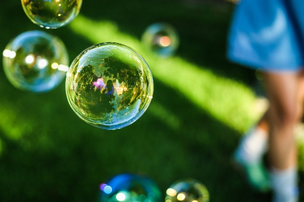 Water grass drop photography Photo